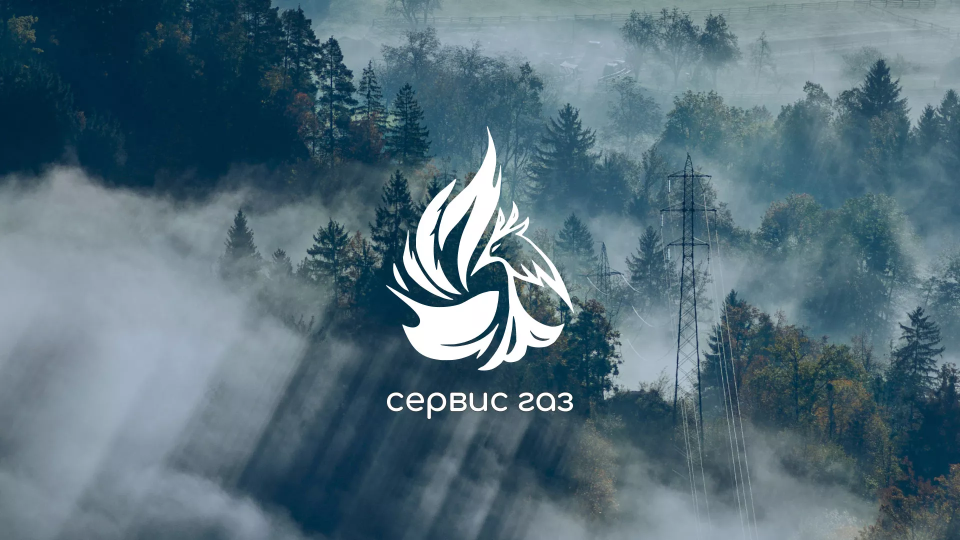 Создание сайта компании «Сервис газ» в Борисоглебске