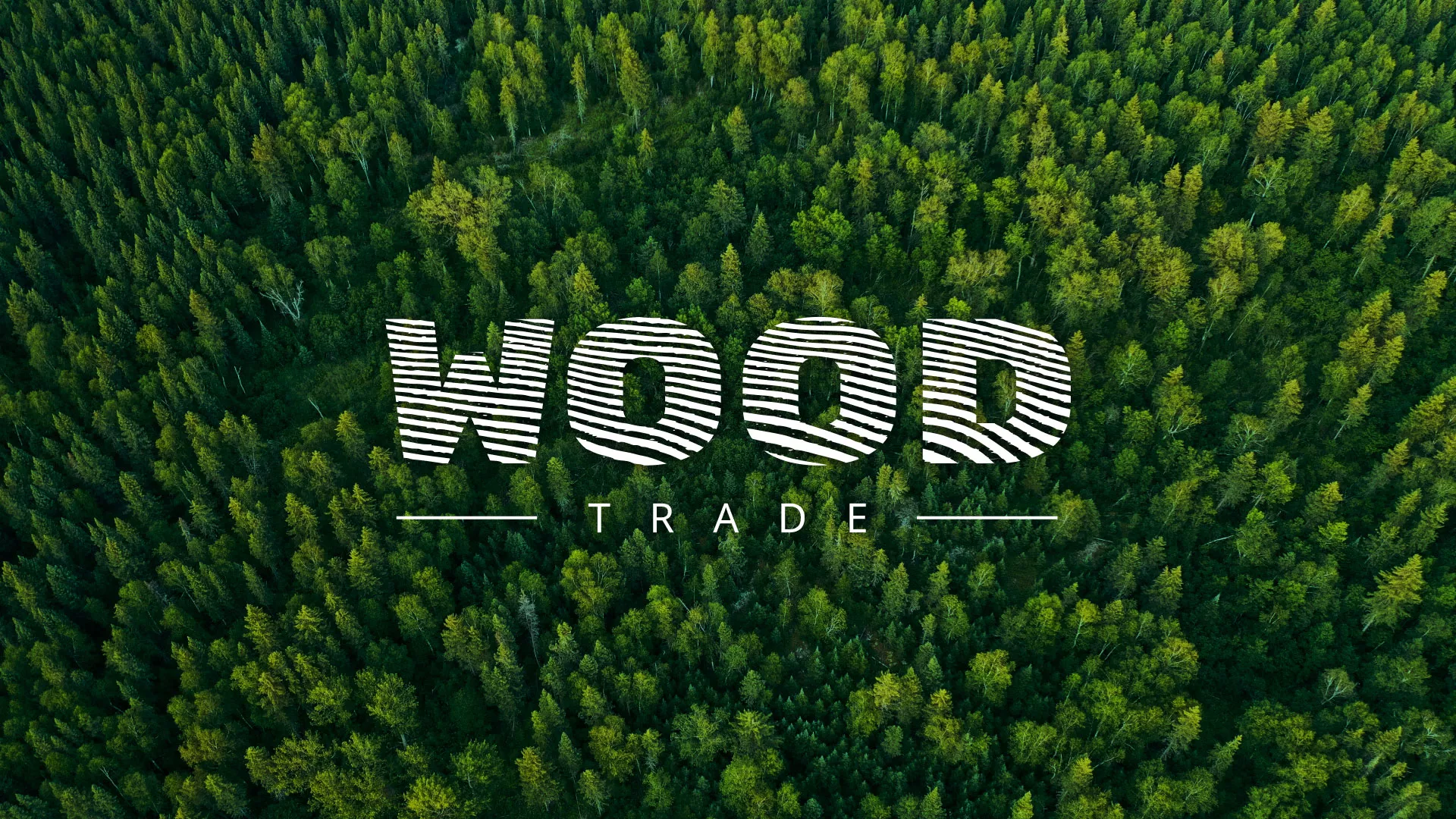 Разработка интернет-магазина компании «Wood Trade» в Борисоглебске