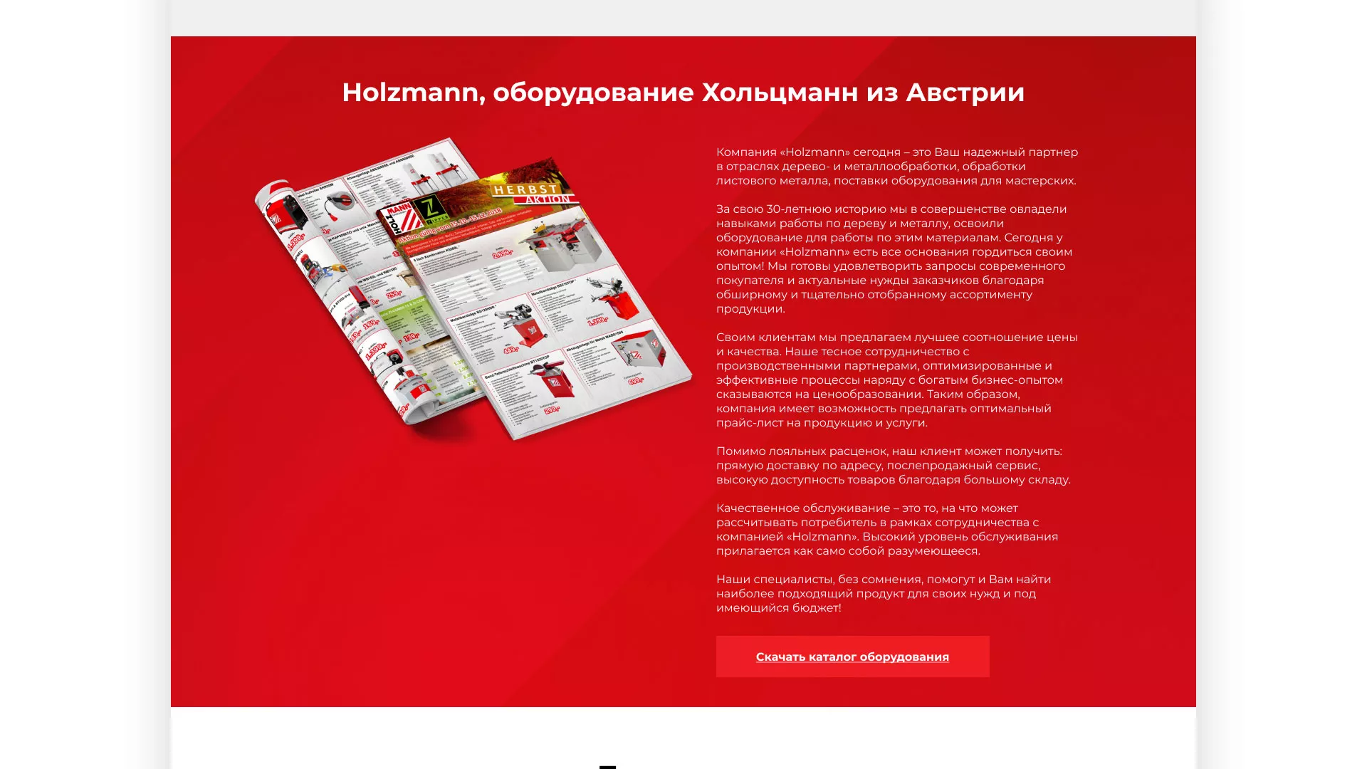 Создание сайта компании «HOLZMANN Maschinen GmbH» в Борисоглебске